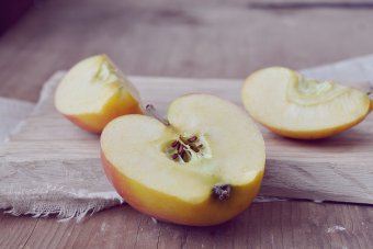wpływ octu jabłkowego na zdrowie 